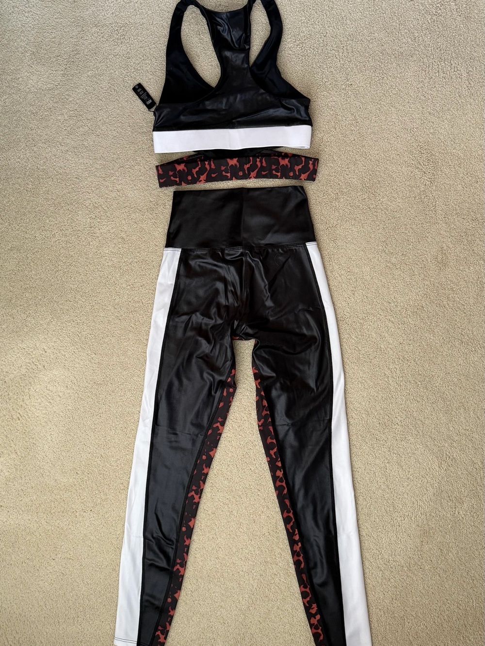 Beach Riot Sport Leopard Set - Picture 6 of 11